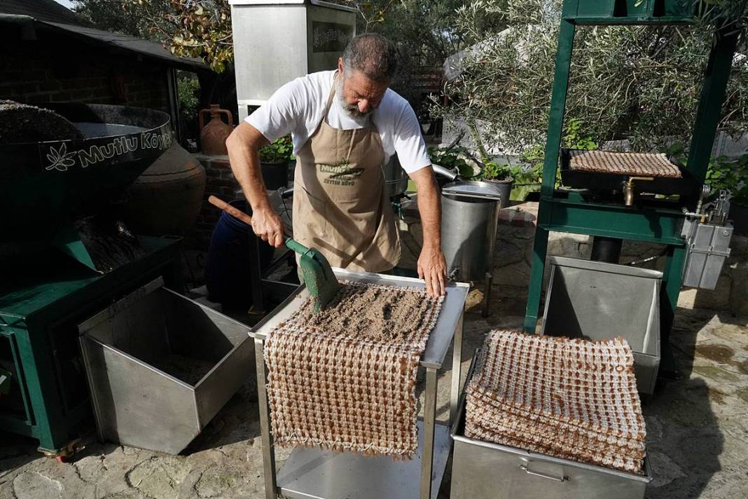Taş devri yöntemiyle en kral zeytinyağını çıkarıyor! 13